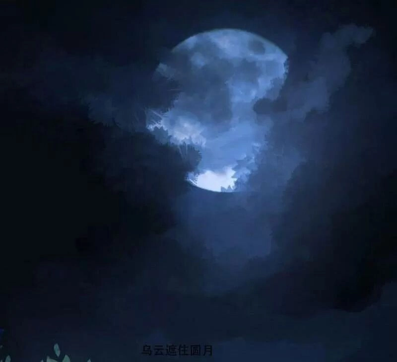 Độc Y Cuồng Phi Chapter 40 - 6