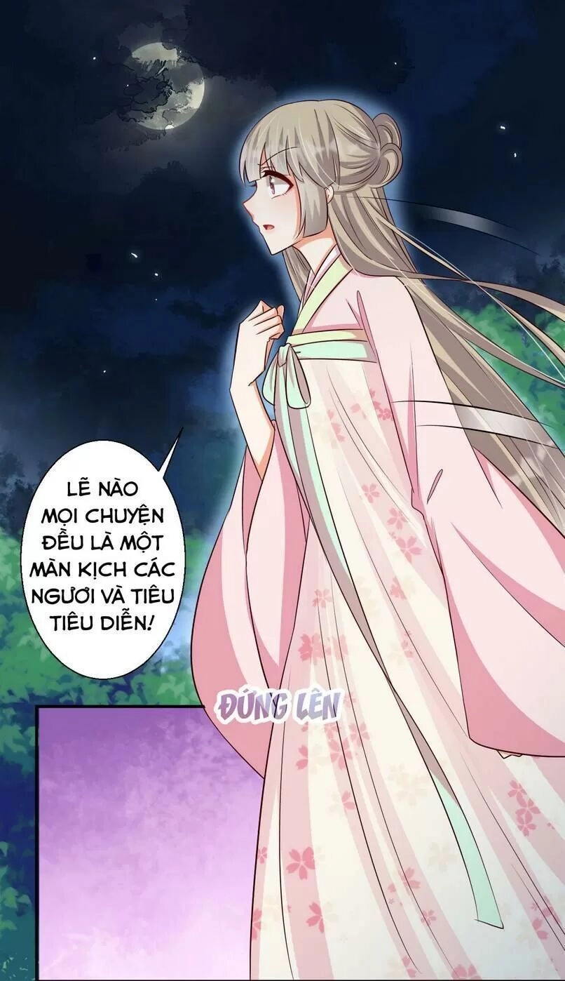 Độc Y Cuồng Phi Chapter 41 - 5