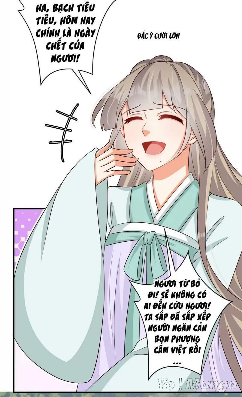 Độc Y Cuồng Phi Chapter 50 - 19