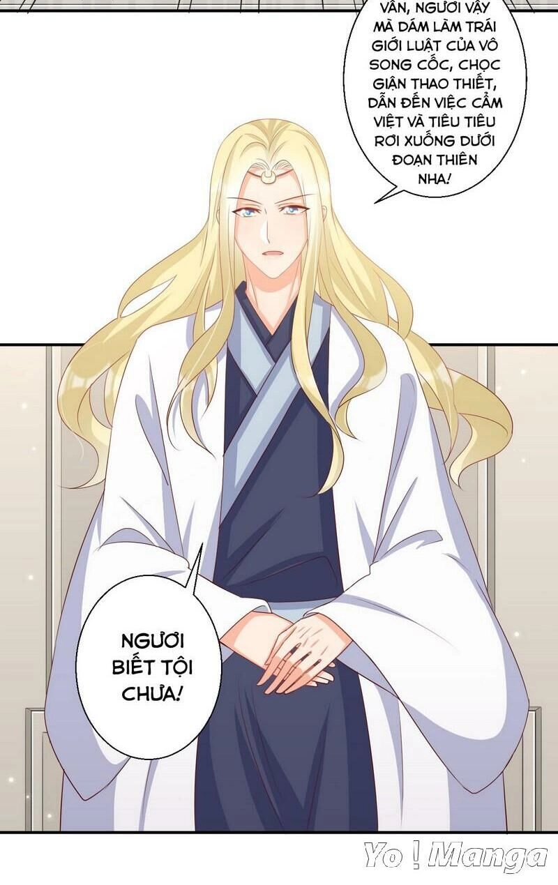 Độc Y Cuồng Phi Chapter 53 - 3