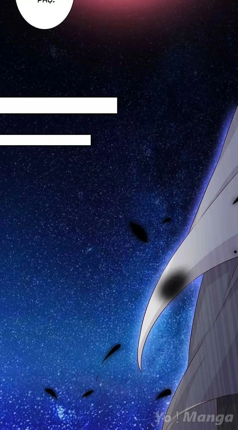 Độc Y Cuồng Phi Chapter 60 - 16