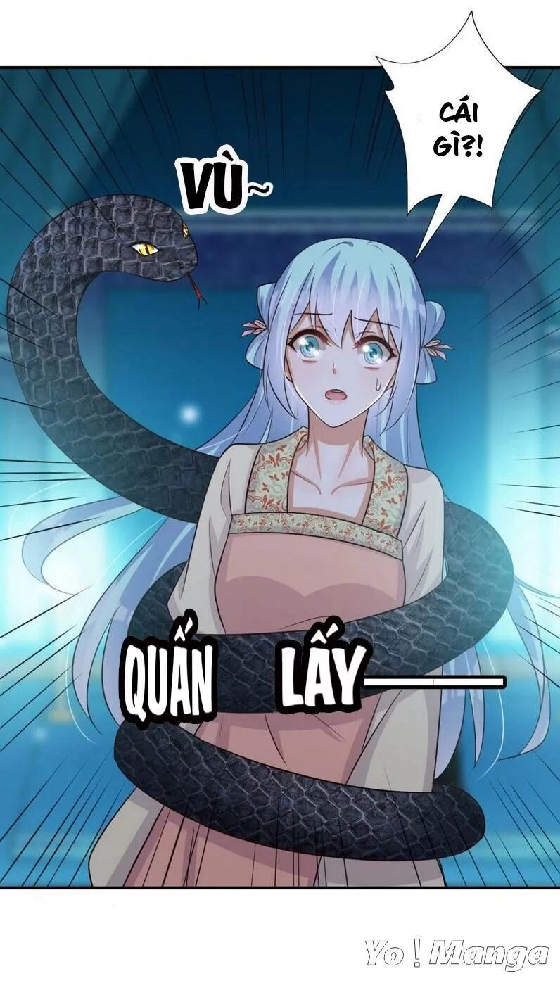 Độc Y Cuồng Phi Chapter 68 - 29