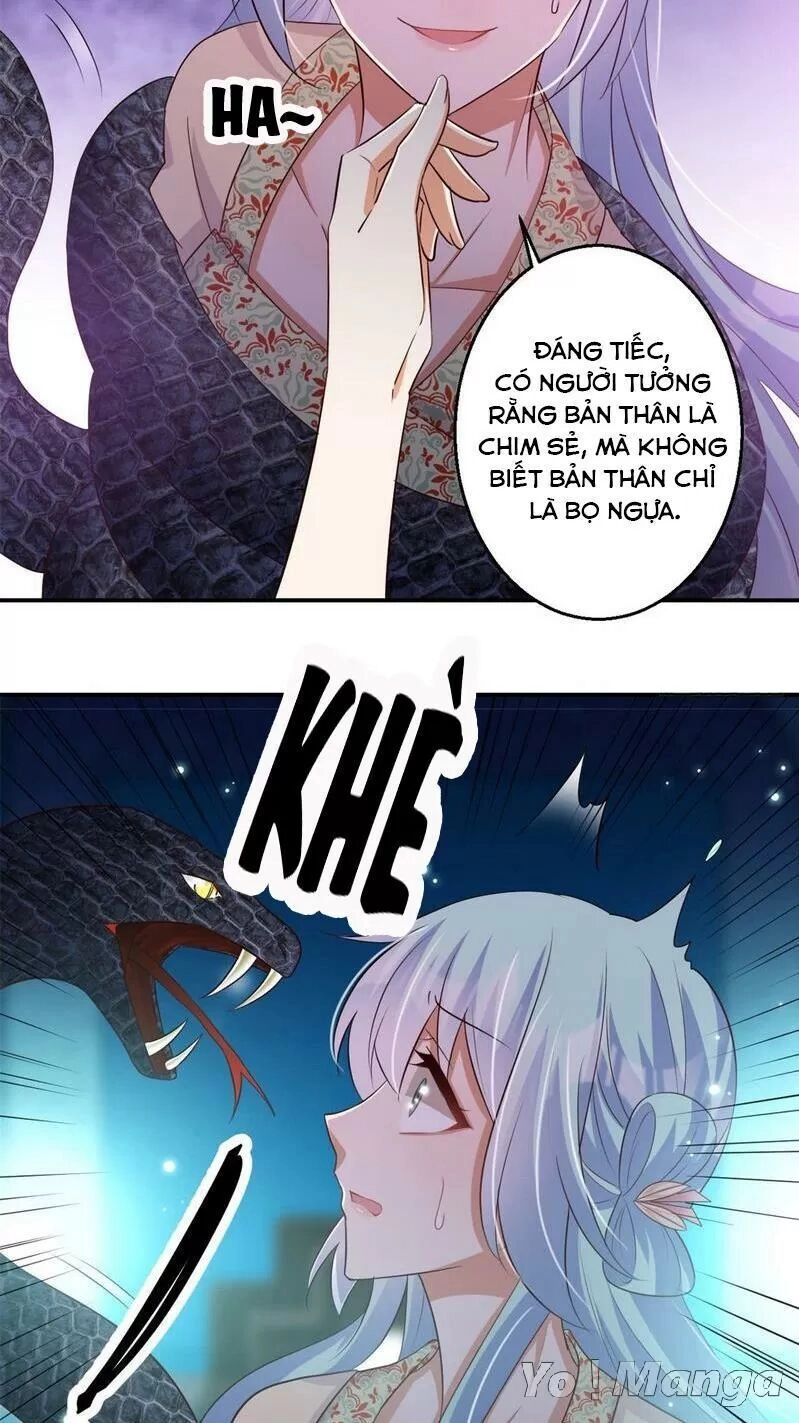 Độc Y Cuồng Phi Chapter 69 - 2