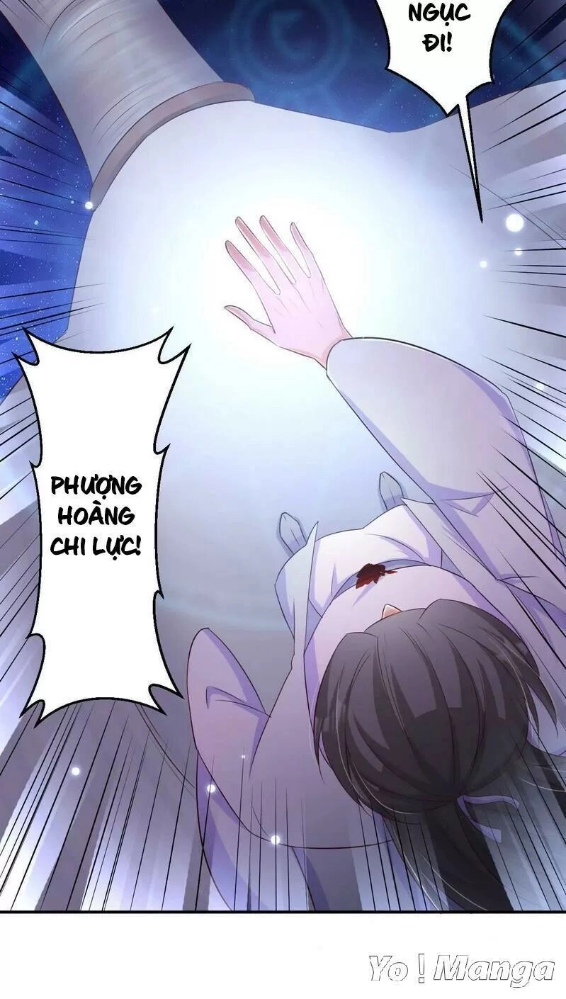 Độc Y Cuồng Phi Chapter 73 - 29