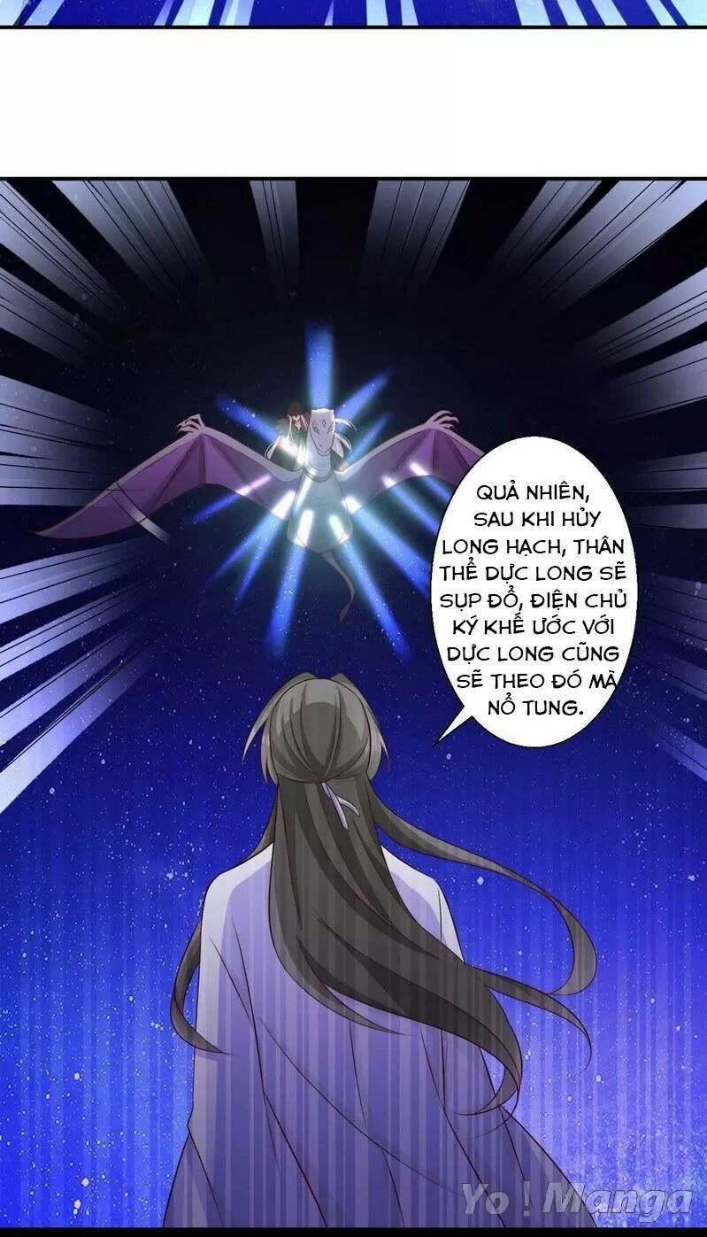 Độc Y Cuồng Phi Chapter 74 - 5