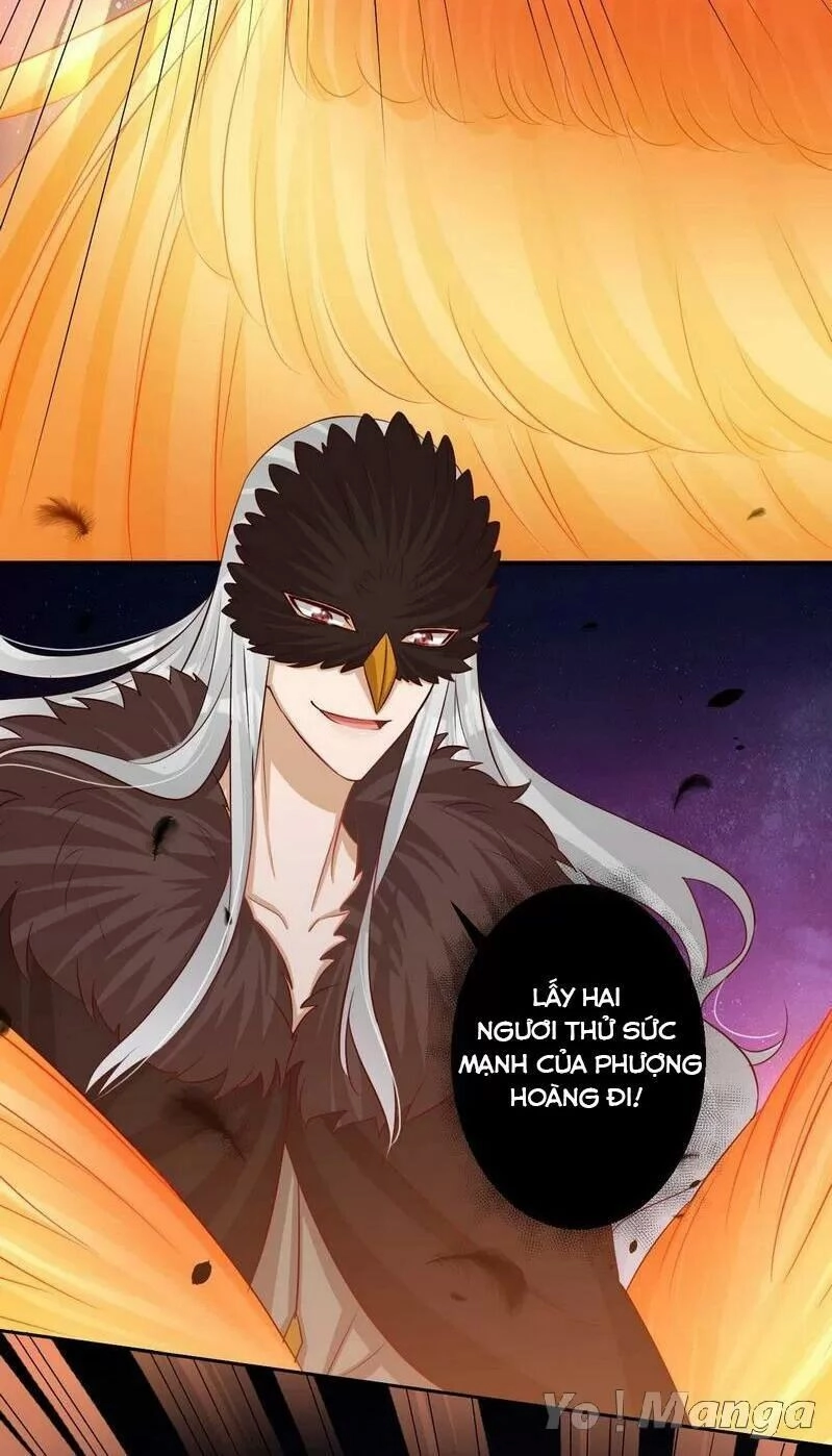 Độc Y Cuồng Phi Chapter 74 - 21