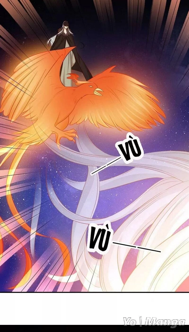 Độc Y Cuồng Phi Chapter 74 - 22