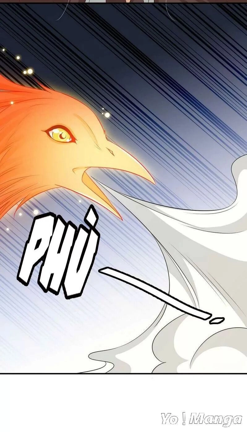 Độc Y Cuồng Phi Chapter 74 - 25