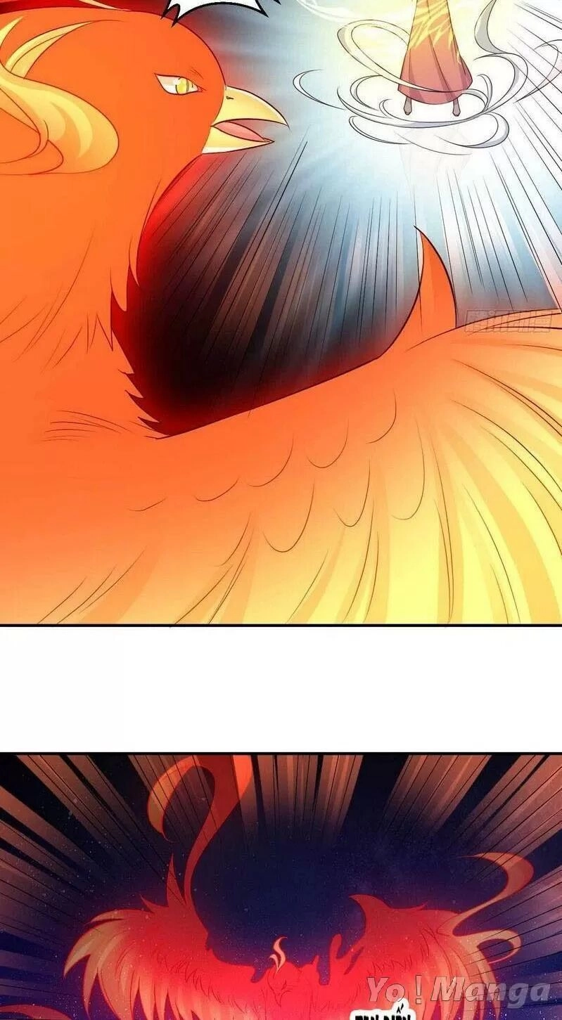 Độc Y Cuồng Phi Chapter 75 - 7