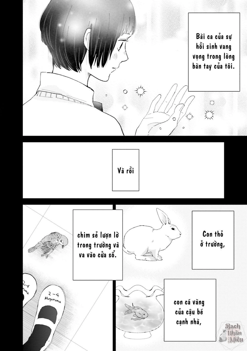 Tận Cùng Của Thế Giới Và Tình Yêu Của Phù Thủy Chapter 4 - 5