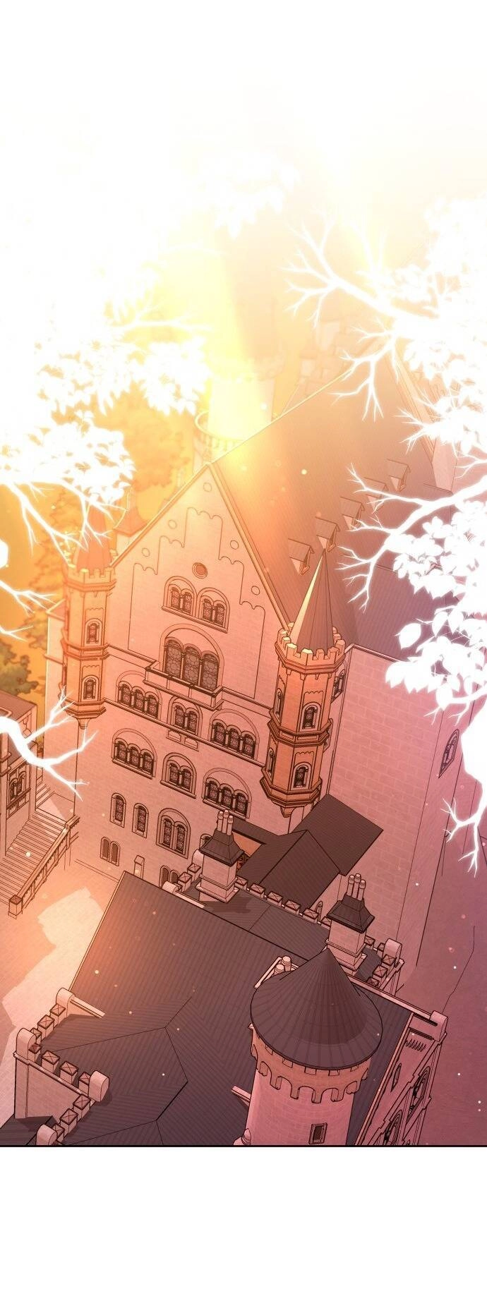 Cướp Dâu Chapter 61.2 - 11