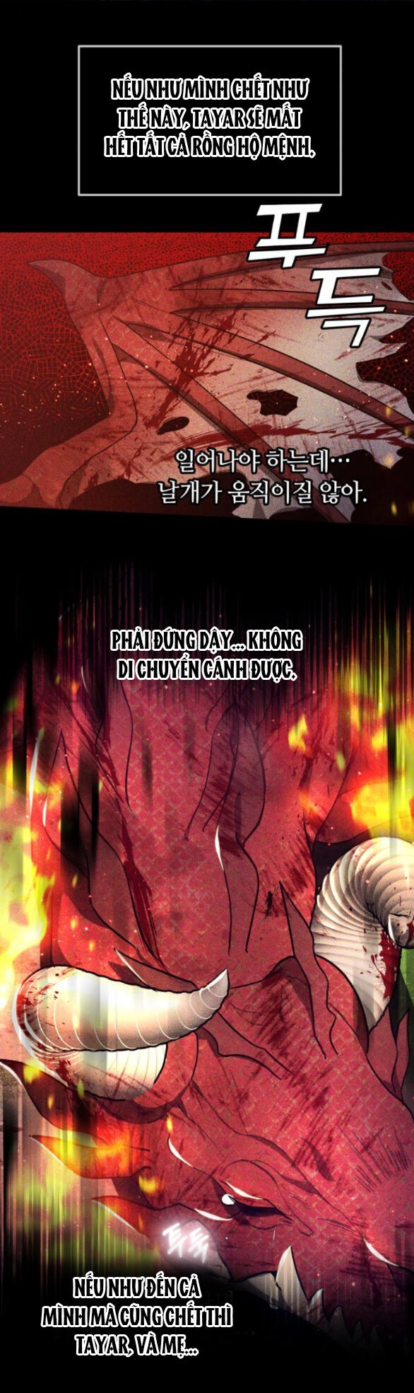 Cướp Dâu Chapter 25.2 - 26