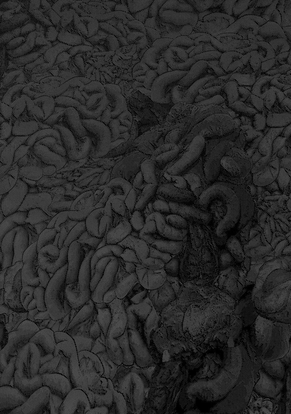 Đảo Kinh Hoàng Chapter 11 - 25