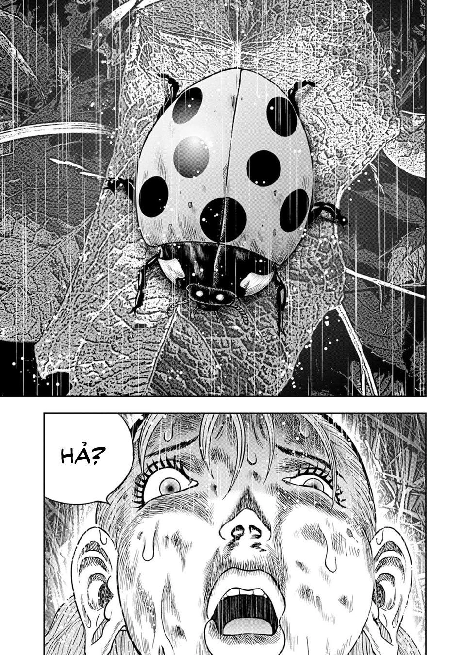 Đảo Kinh Hoàng Chapter 14 - 21