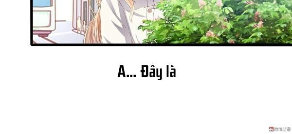 Lăng Thiếu! Nhẹ Một Chút, Đau Chapter 2 - 24