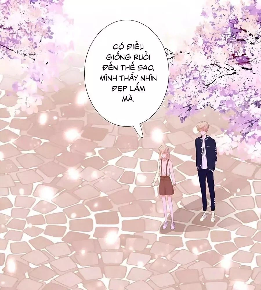 Hoa Chưa Nở Rộ Chapter 19 - 34