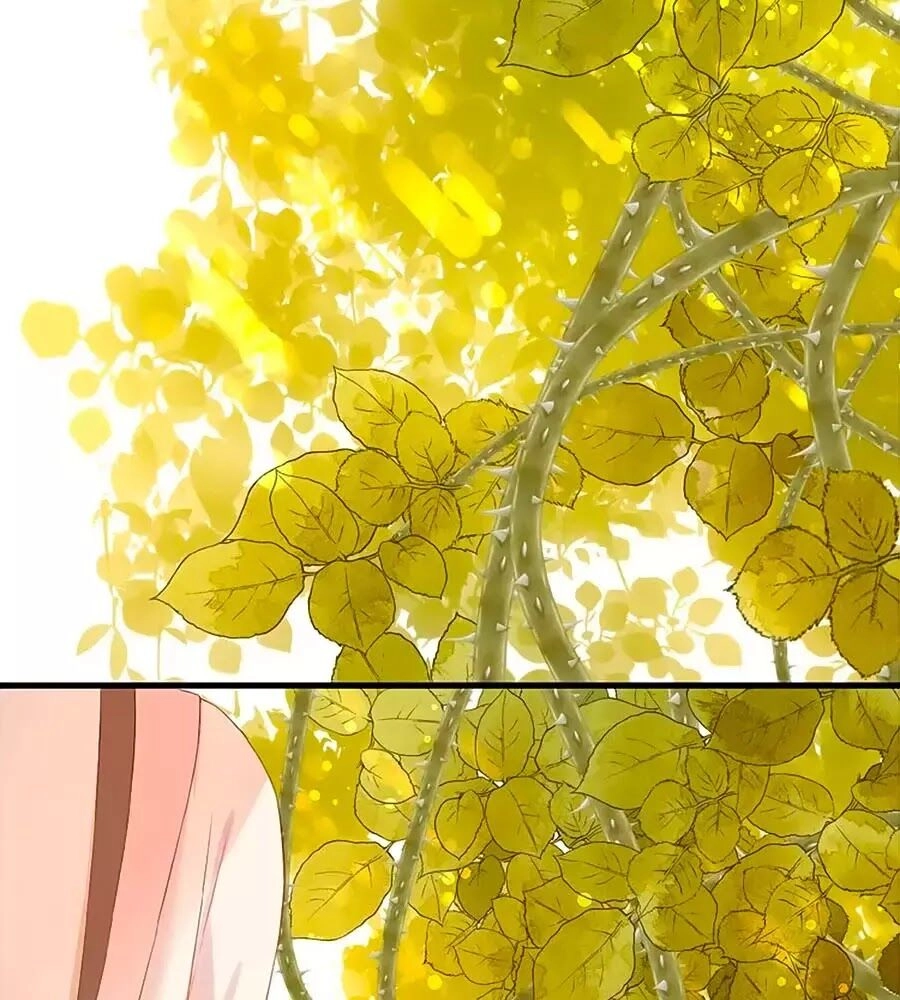 Hoa Chưa Nở Rộ Chapter 20 - 15