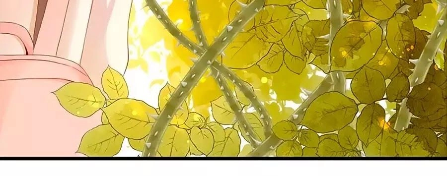 Hoa Chưa Nở Rộ Chapter 20 - 16