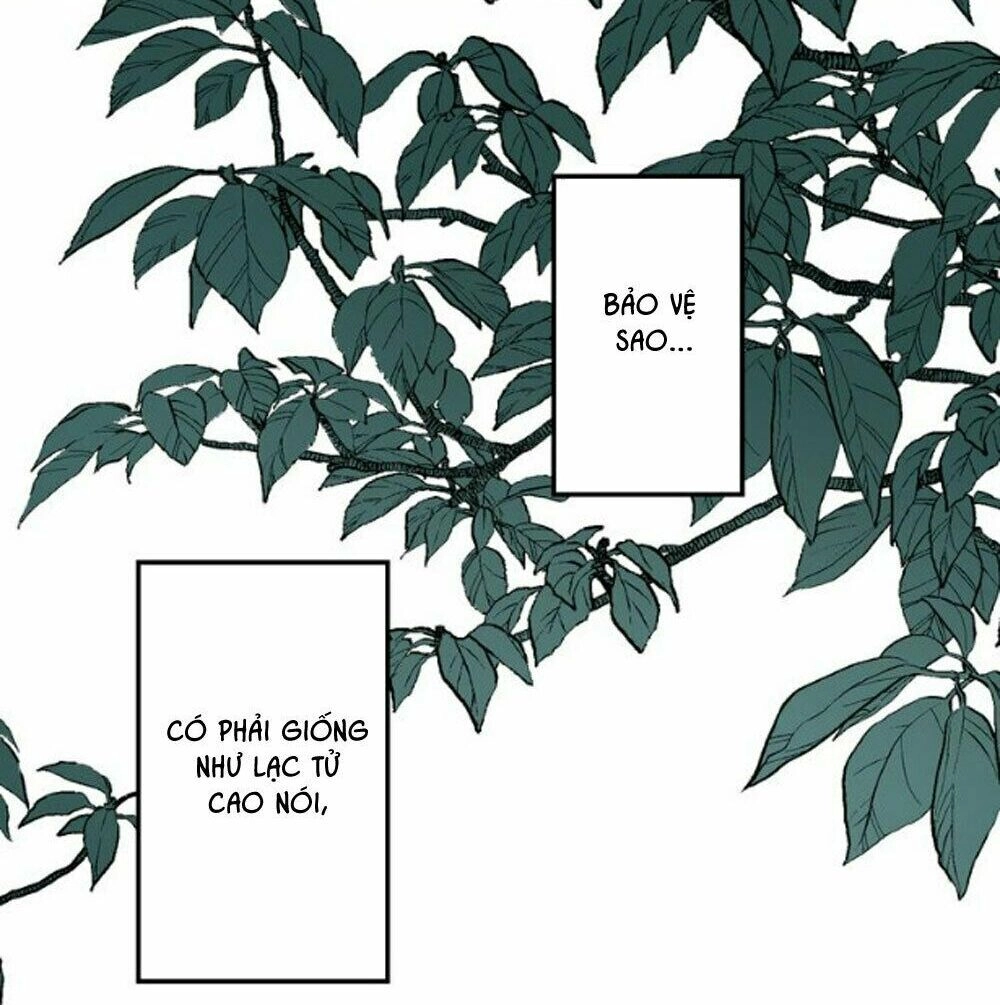 Bài Ca Tình Yêu Chapter 4 - 61