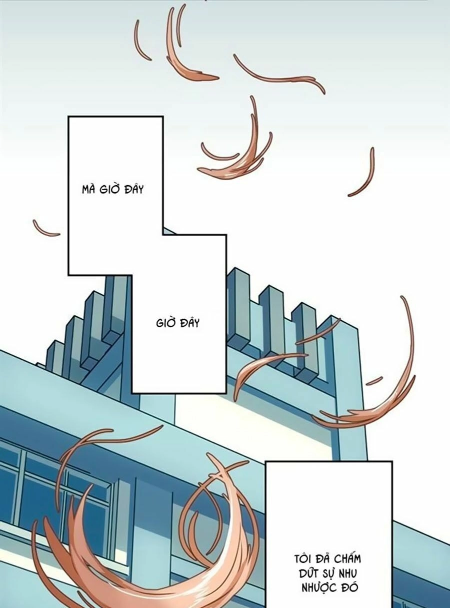 Bài Ca Tình Yêu Chapter 8 - 33
