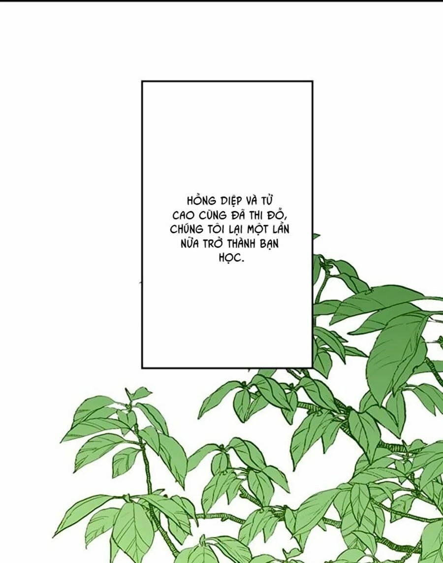 Bài Ca Tình Yêu Chapter 8 - 44