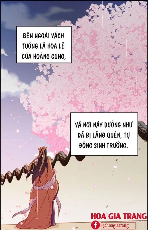 Ác Nữ Hoàng Hậu Chapter 71 - 3