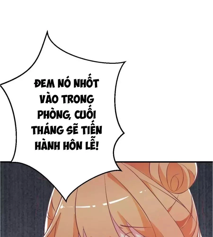 Phụng Tử Thành Hôn: Vợ Mới Không Được Trốn Thoát Chapter 2 - 55