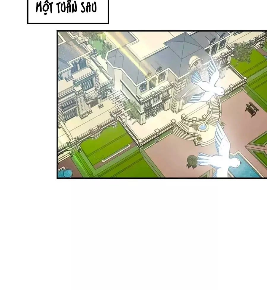 Phụng Tử Thành Hôn: Vợ Mới Không Được Trốn Thoát Chapter 6 - 46