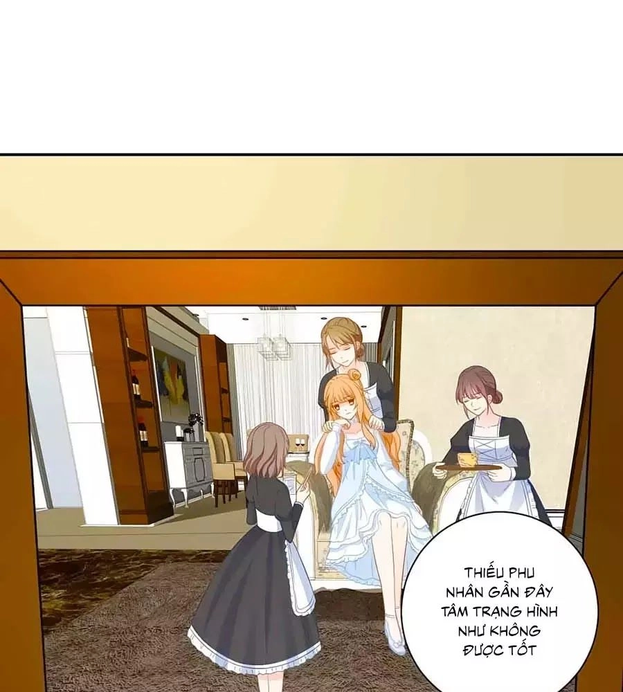 Phụng Tử Thành Hôn: Vợ Mới Không Được Trốn Thoát Chapter 6 - 54