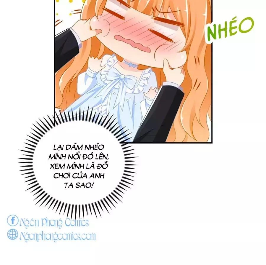 Phụng Tử Thành Hôn: Vợ Mới Không Được Trốn Thoát Chapter 7 - 6