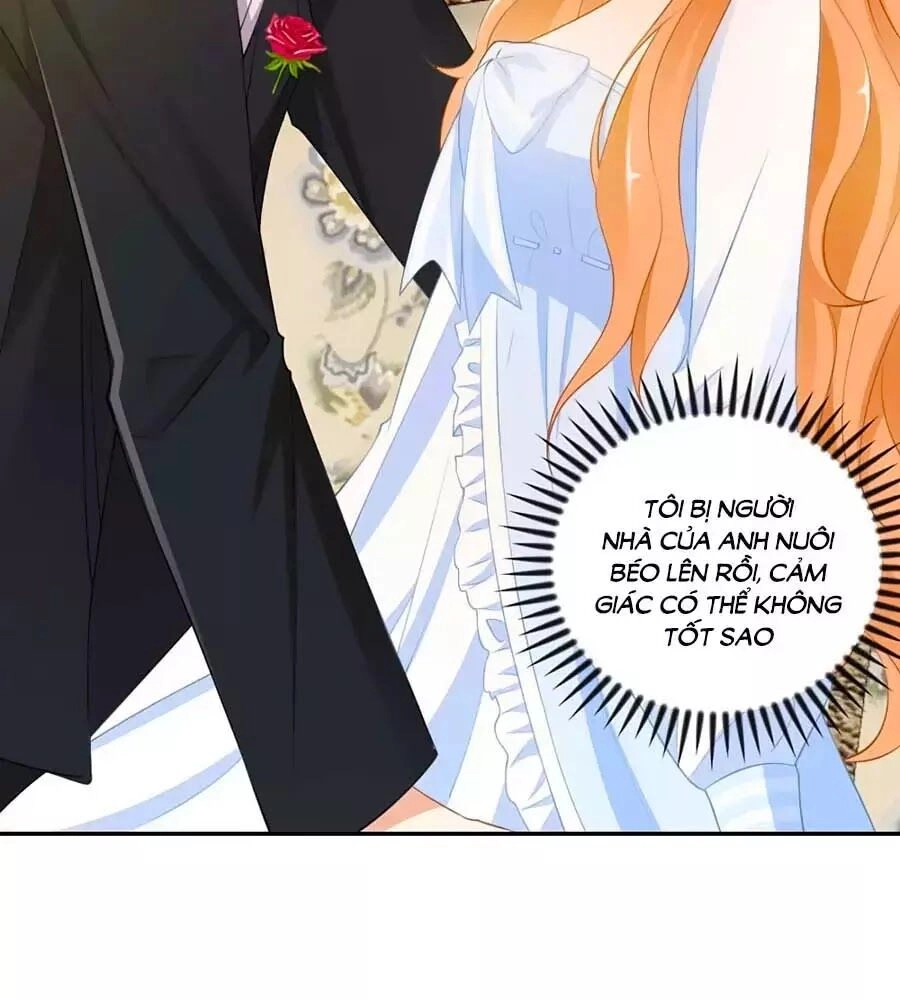 Phụng Tử Thành Hôn: Vợ Mới Không Được Trốn Thoát Chapter 7 - 8