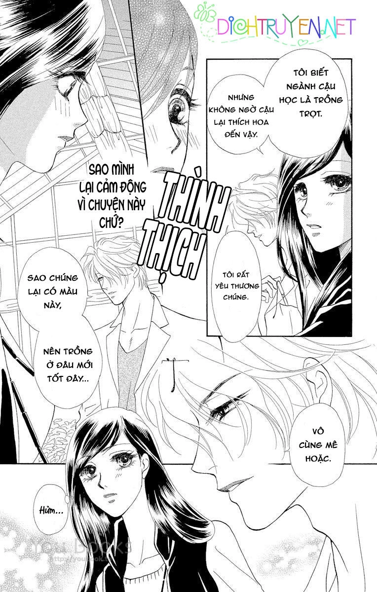 Đóa Hồng Dành Tặng Seri Chapter 2 - 19