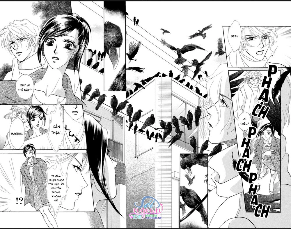 Đóa Hồng Dành Tặng Seri Chapter 5 - 4