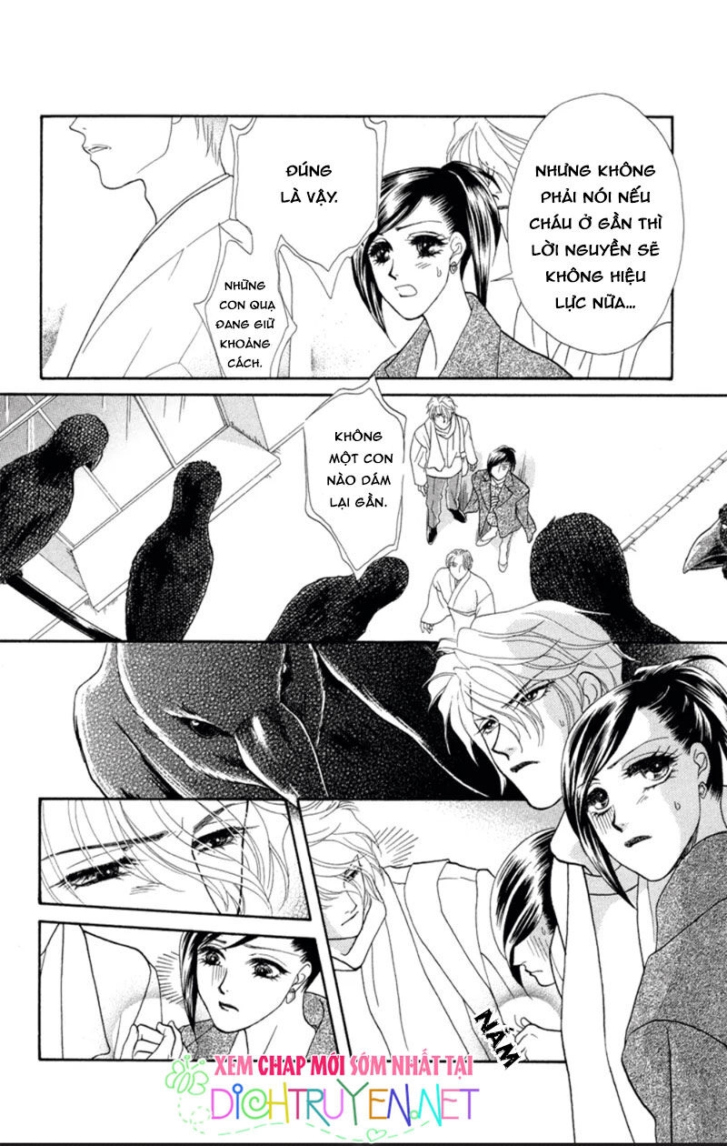 Đóa Hồng Dành Tặng Seri Chapter 5 - 5