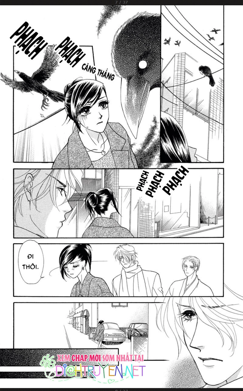 Đóa Hồng Dành Tặng Seri Chapter 5 - 7