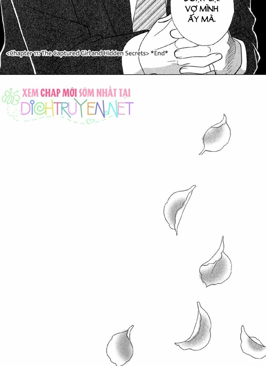 Đóa Hồng Dành Tặng Seri Chapter 11 - 38