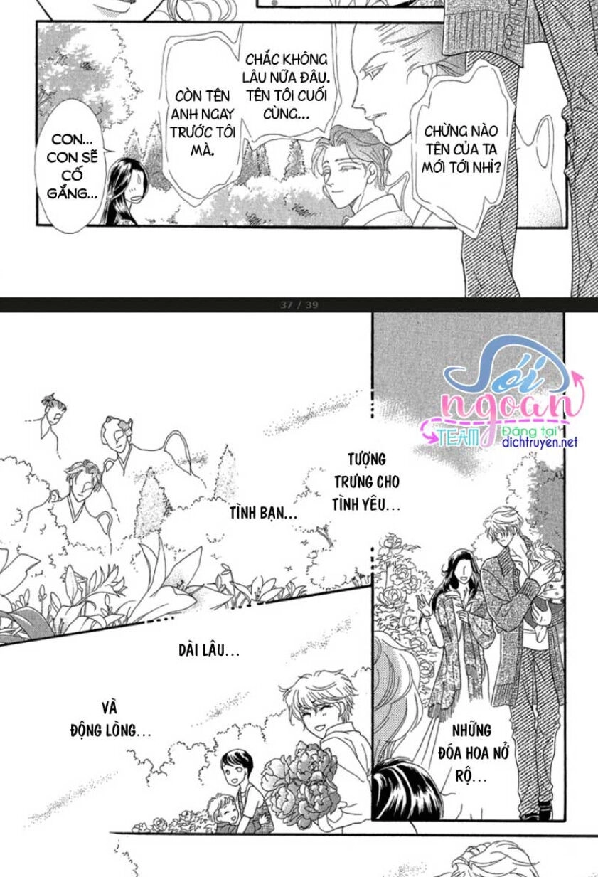 Đóa Hồng Dành Tặng Seri Chapter 20 - 36