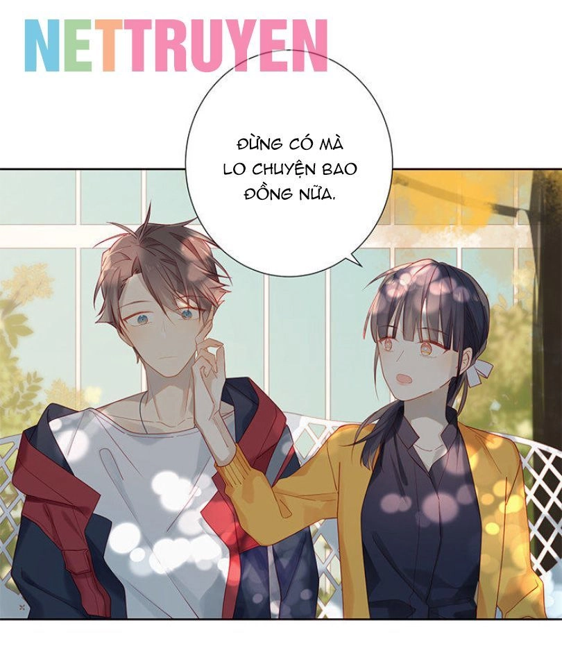 Lời Thề Như Sương Triều Chapter 4 - 8