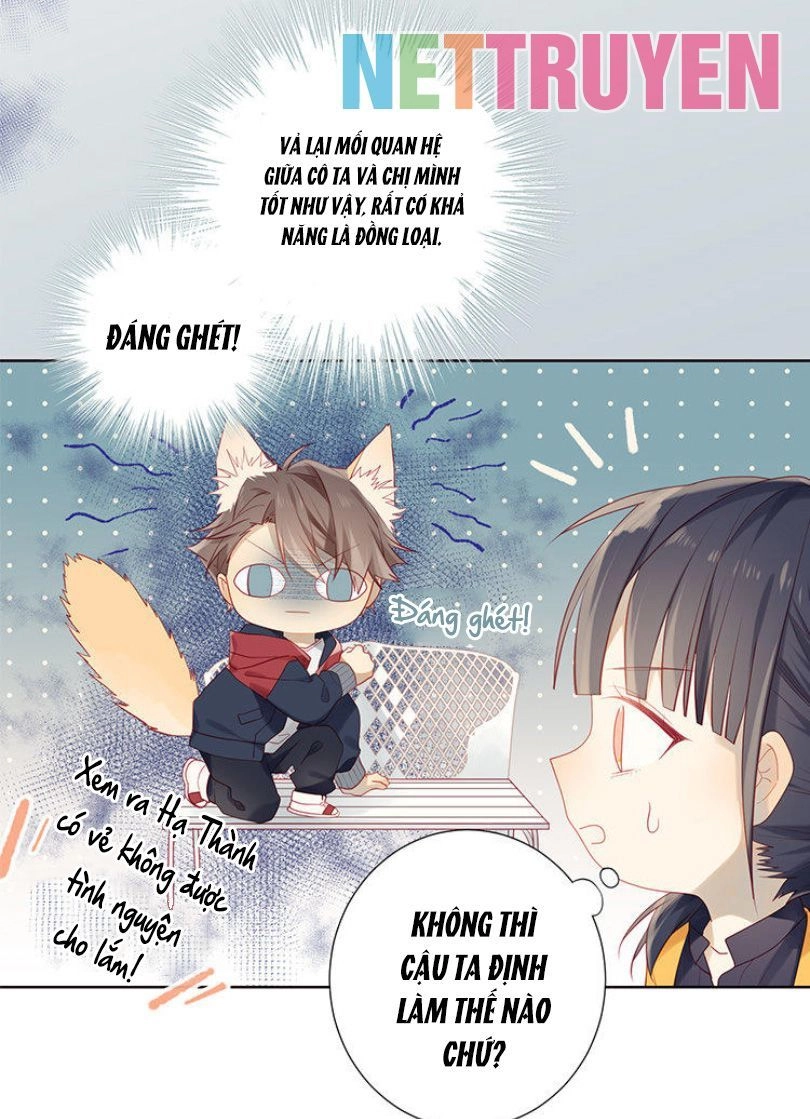 Lời Thề Như Sương Triều Chapter 5 - 13