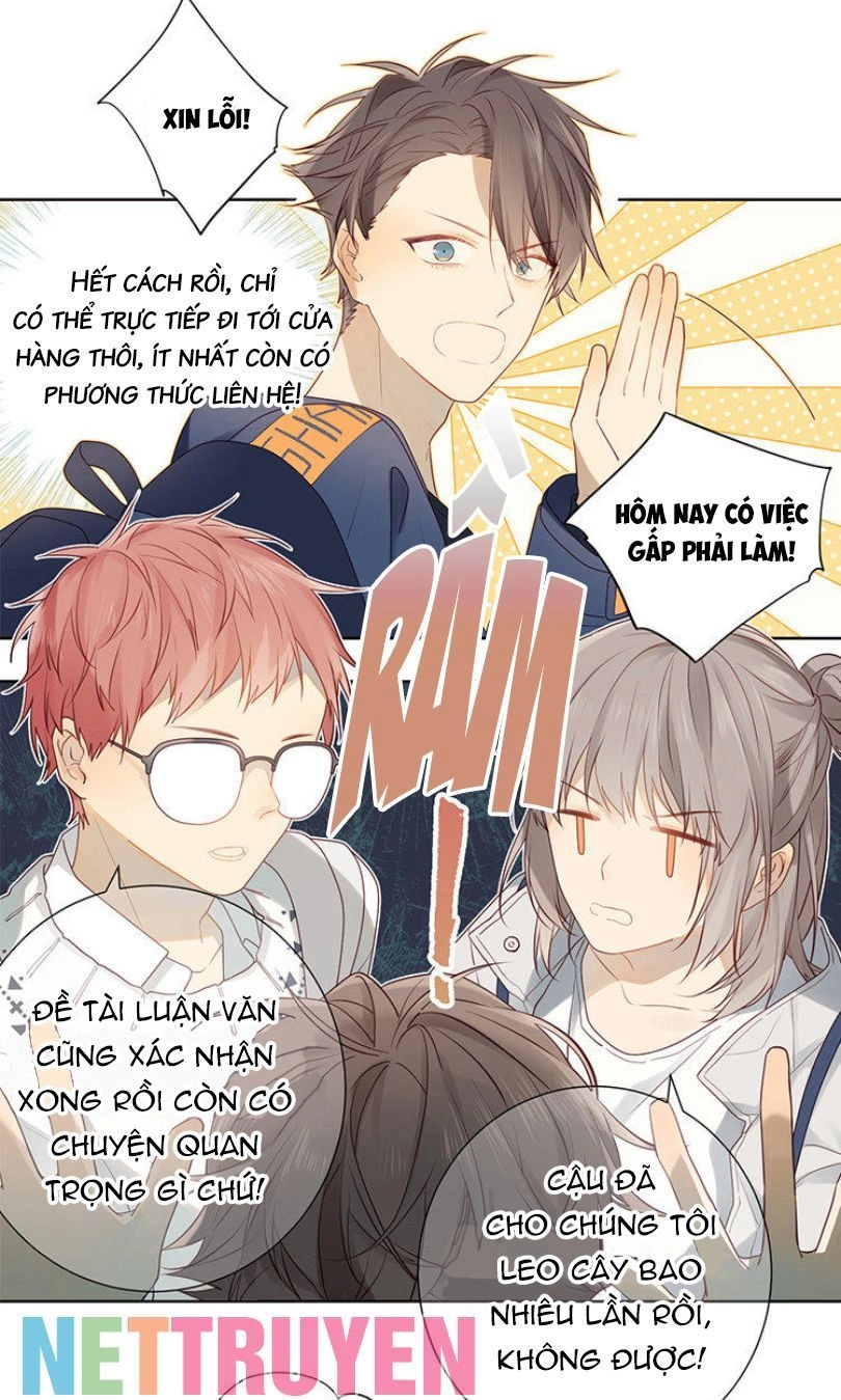 Lời Thề Như Sương Triều Chapter 8 - 20