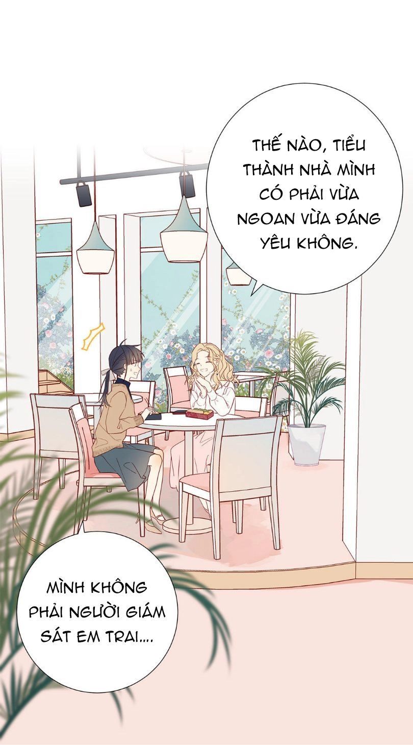 Lời Thề Như Sương Triều Chapter 10 - 17