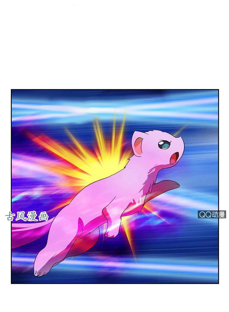 Đô Thị Cực Phẩm Y Tiên Chapter 195 - 15