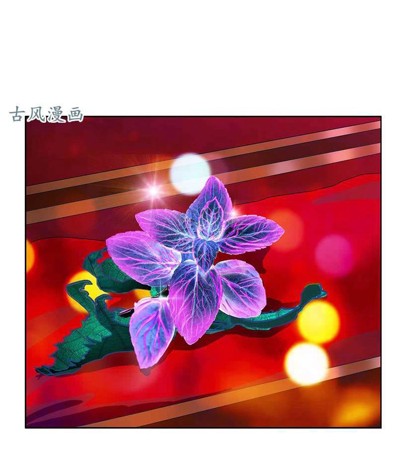 Đô Thị Cực Phẩm Y Tiên Chapter 214 - 4