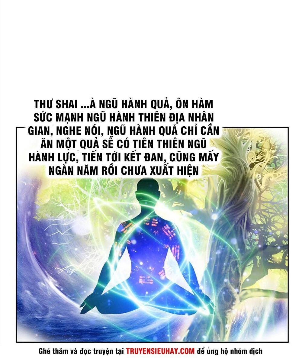 Đô Thị Cực Phẩm Y Tiên Chapter 337 - 4