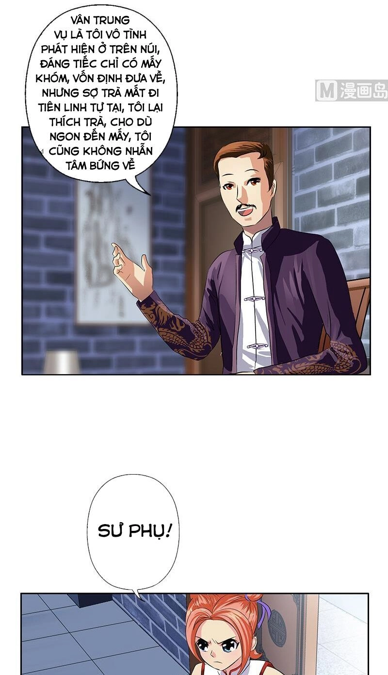 Đô Thị Cực Phẩm Y Tiên Chapter 377 - 14