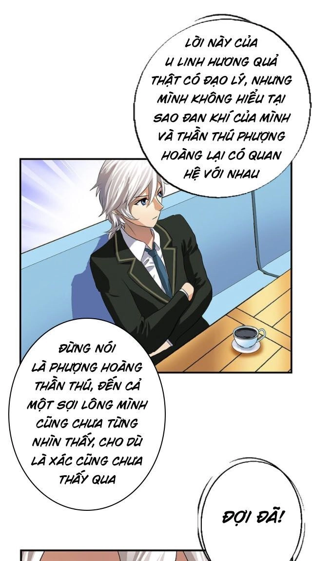 Đô Thị Cực Phẩm Y Tiên Chapter 386 - 13