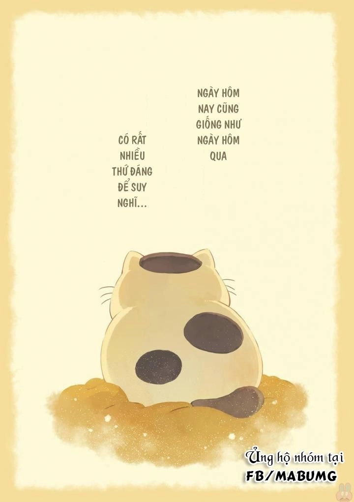 Ông Chú Và Con Mèo Mặt Bựa Chapter 1 - 5