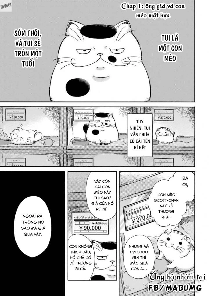 Ông Chú Và Con Mèo Mặt Bựa Chapter 1 - 7