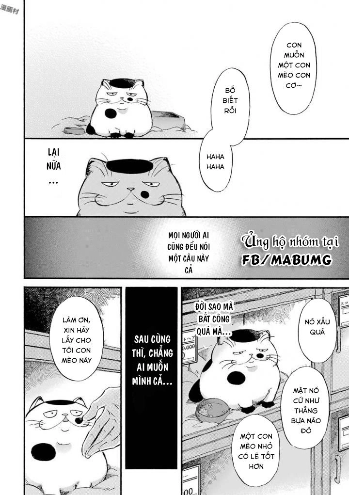 Ông Chú Và Con Mèo Mặt Bựa Chapter 1 - 8