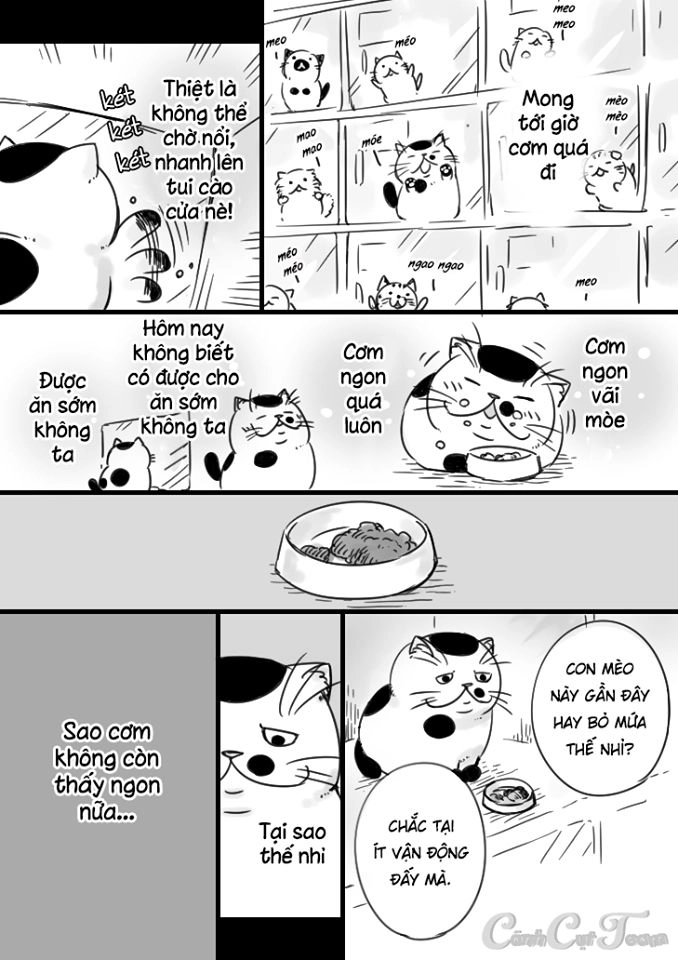 Ông Chú Và Con Mèo Mặt Bựa Chapter 5 - 3